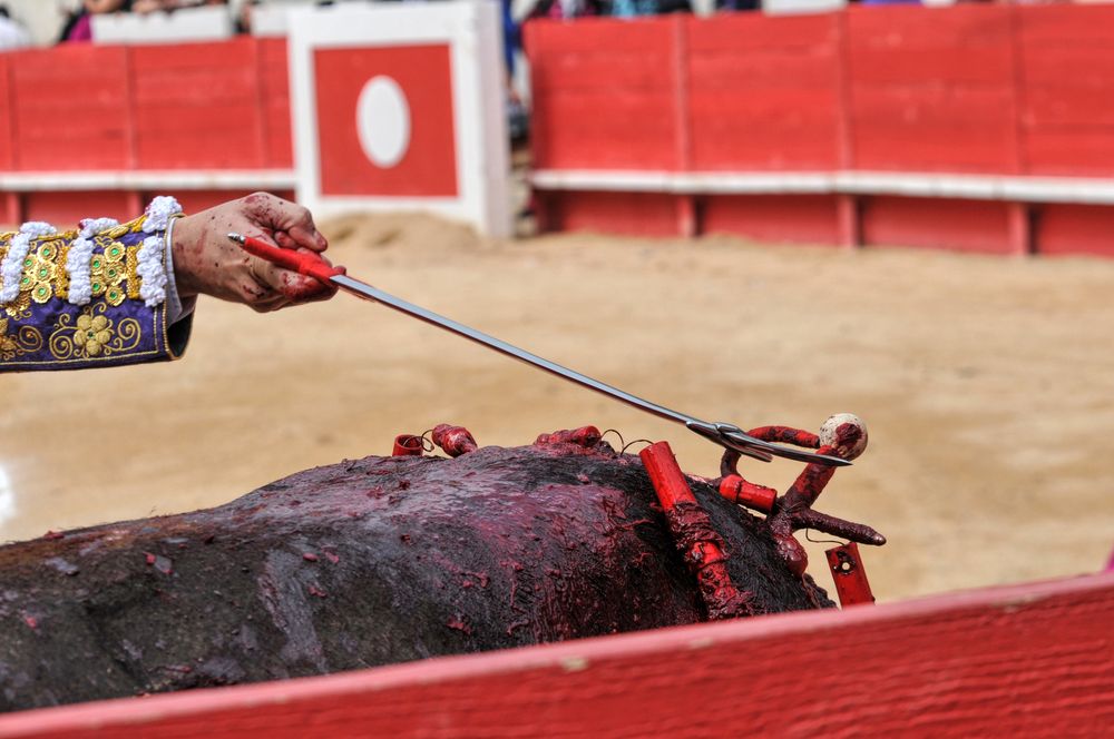 2016cordimmvendnimes (341)