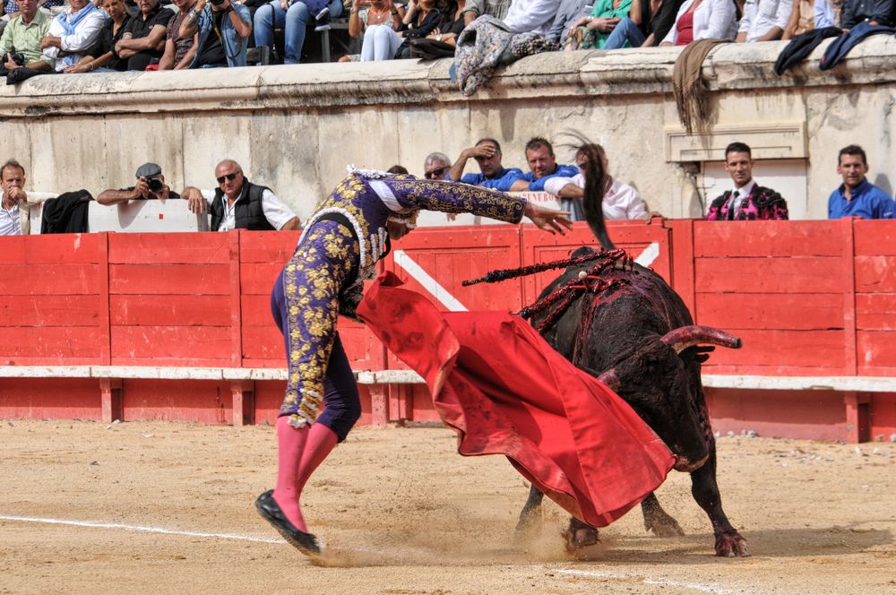 2016cordimmvendnimes (351)