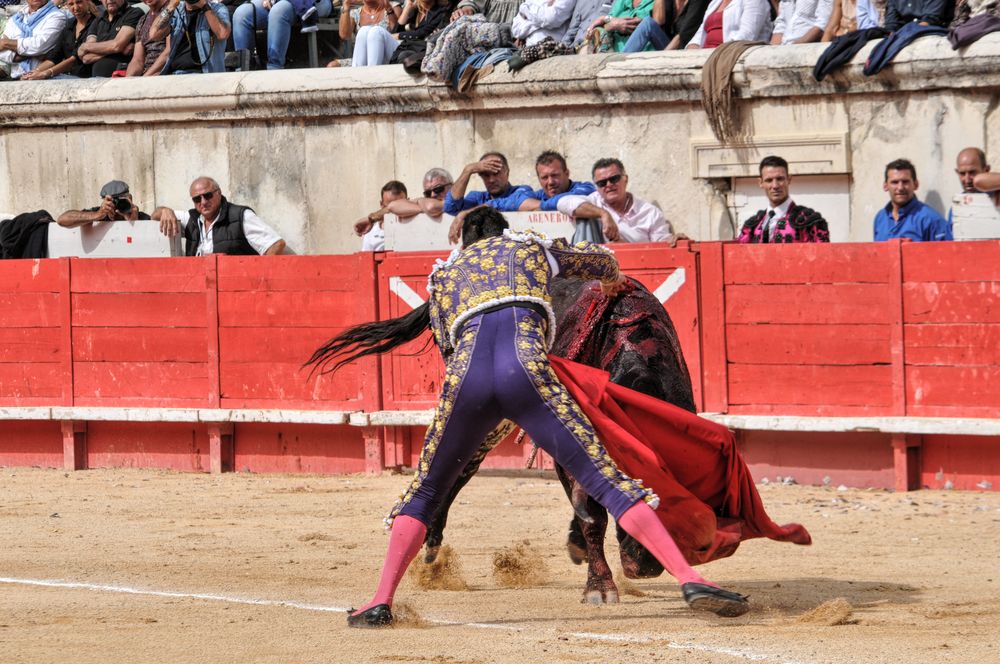 2016cordimmvendnimes (353)