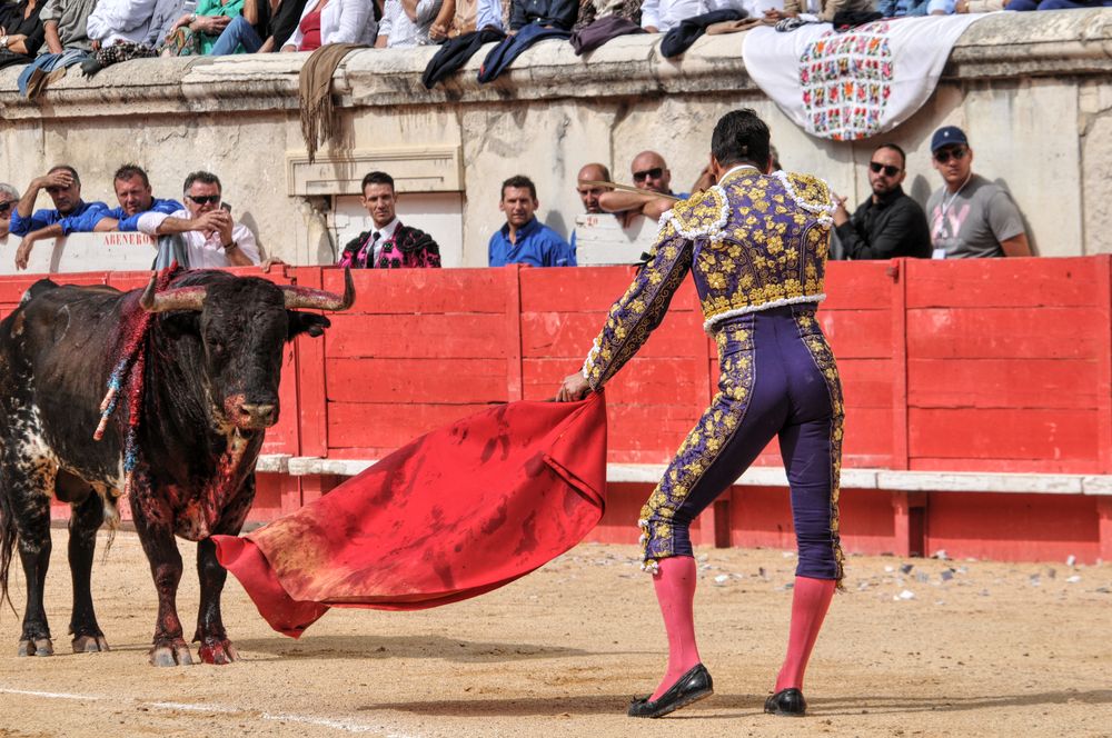 2016cordimmvendnimes (354)
