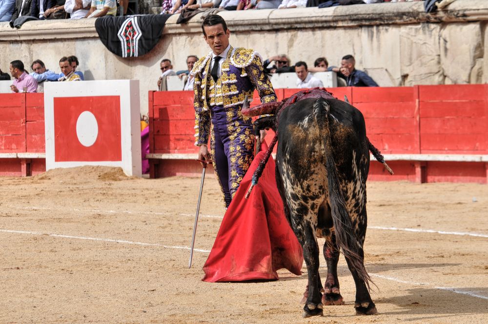 2016cordimmvendnimes (356)