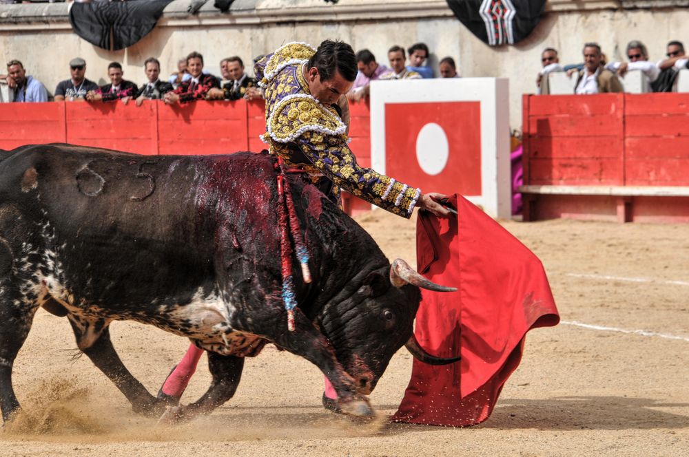 2016cordimmvendnimes (358)