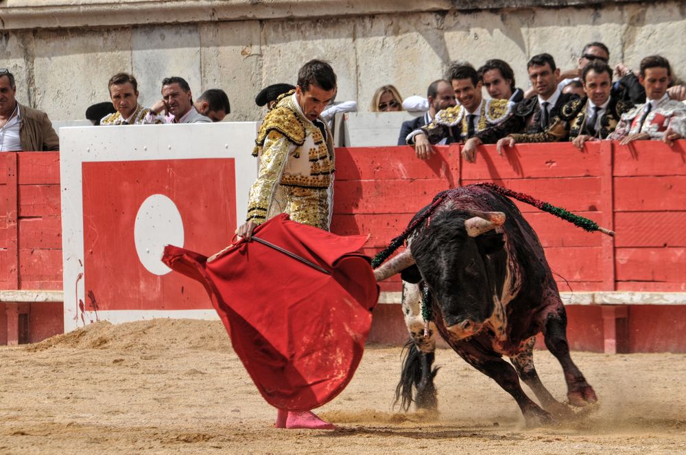 2016cordimmvendnimes (36)