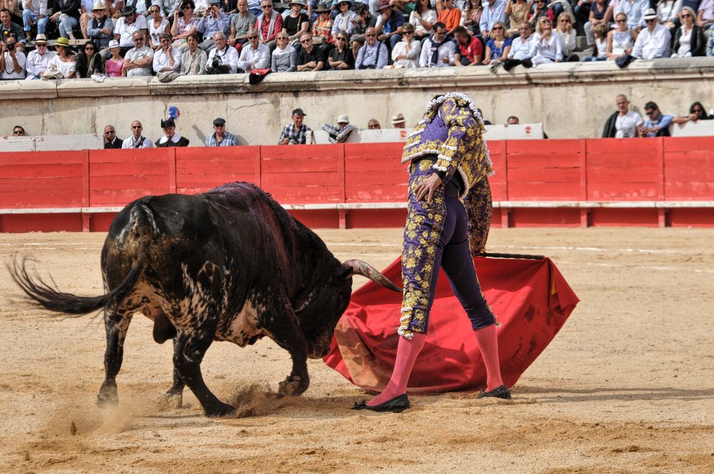 2016cordimmvendnimes (360)