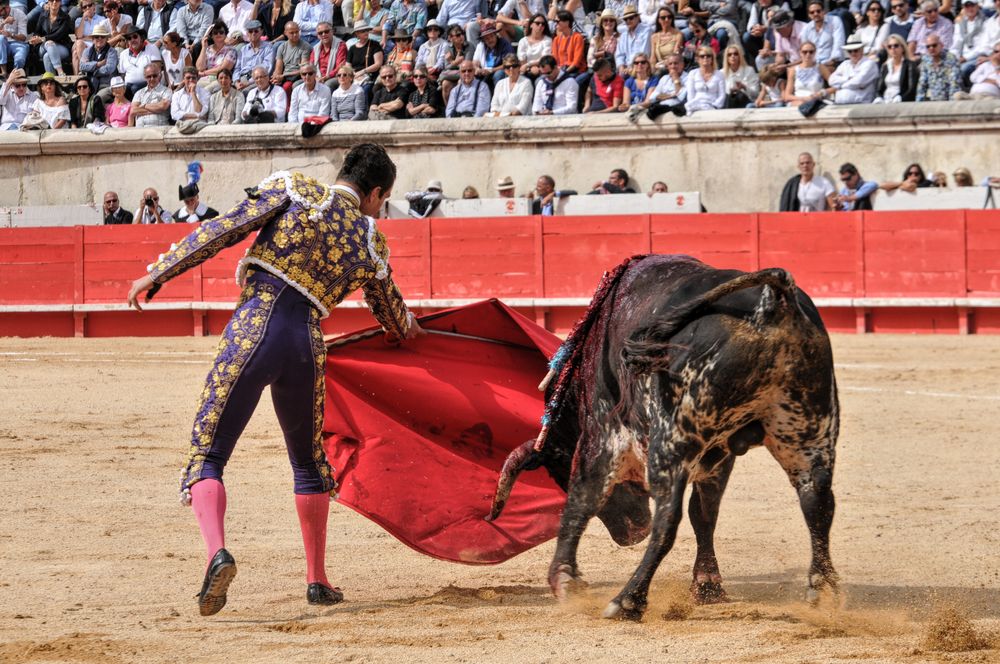 2016cordimmvendnimes (361)