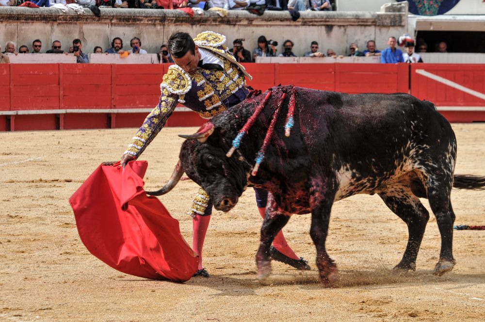 2016cordimmvendnimes (366)
