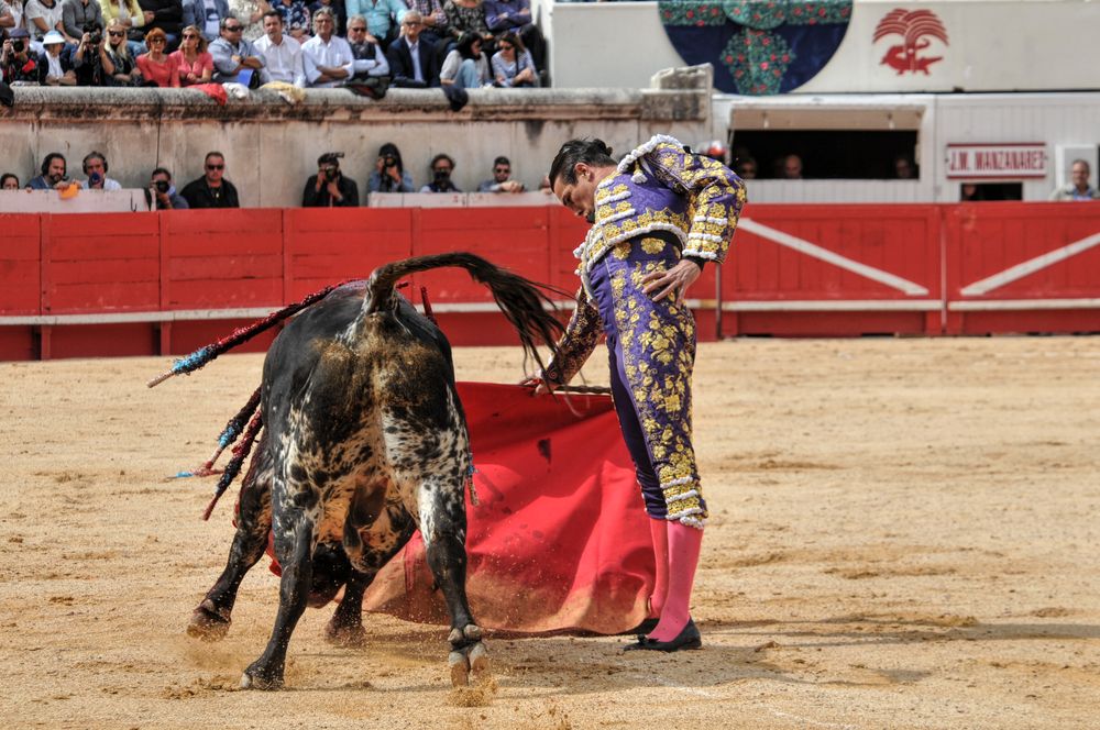 2016cordimmvendnimes (367)