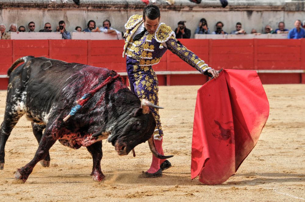 2016cordimmvendnimes (371)