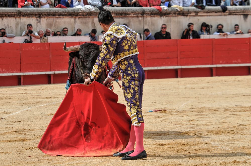 2016cordimmvendnimes (372)