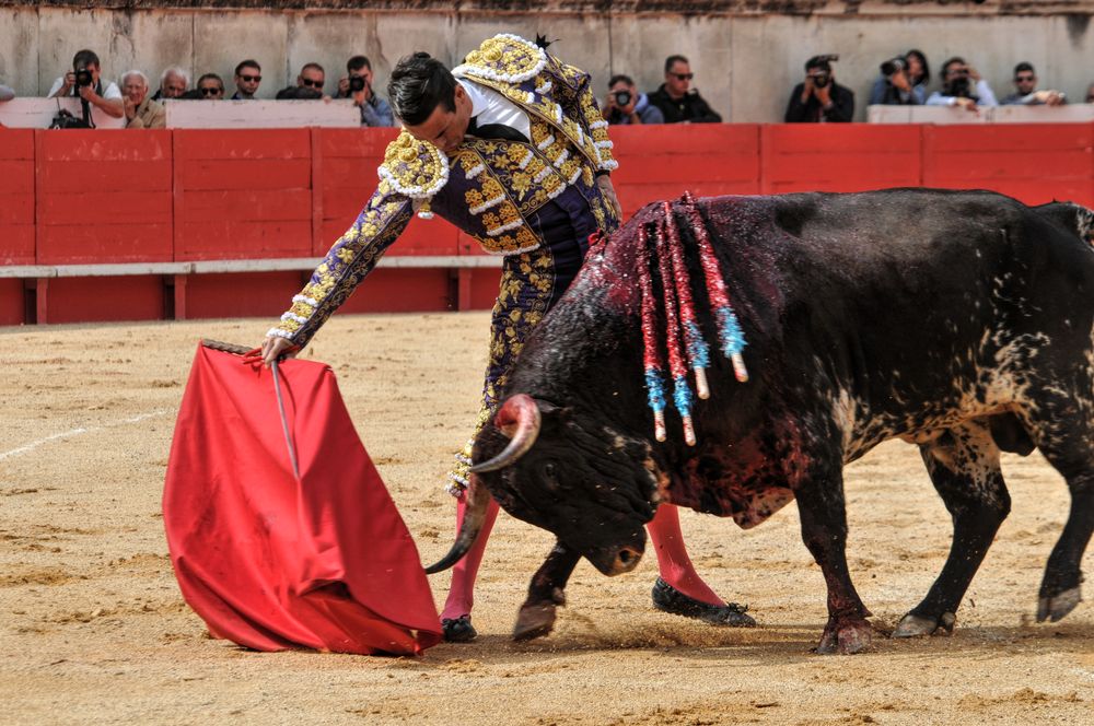 2016cordimmvendnimes (374)