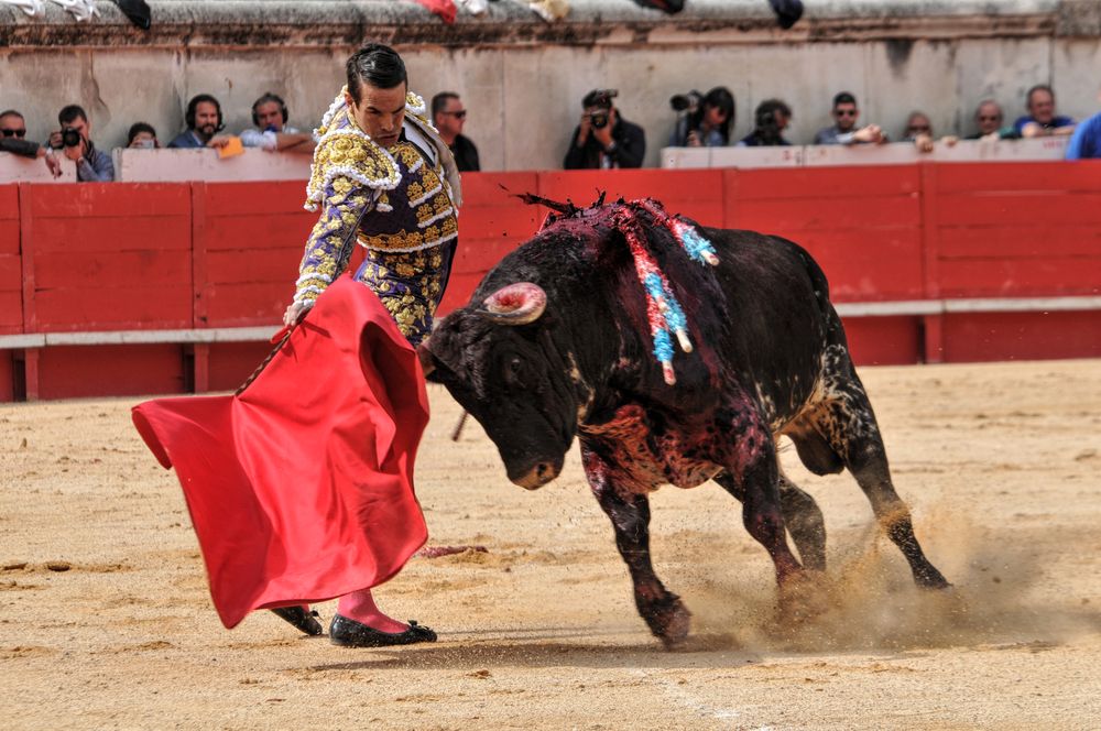 2016cordimmvendnimes (383)