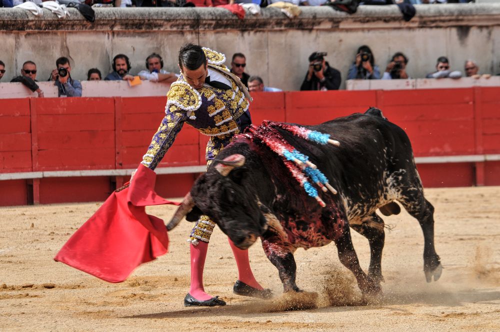 2016cordimmvendnimes (387)