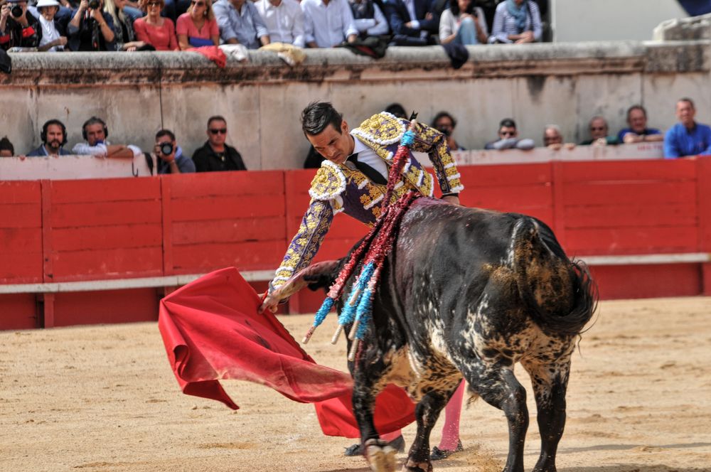 2016cordimmvendnimes (389)