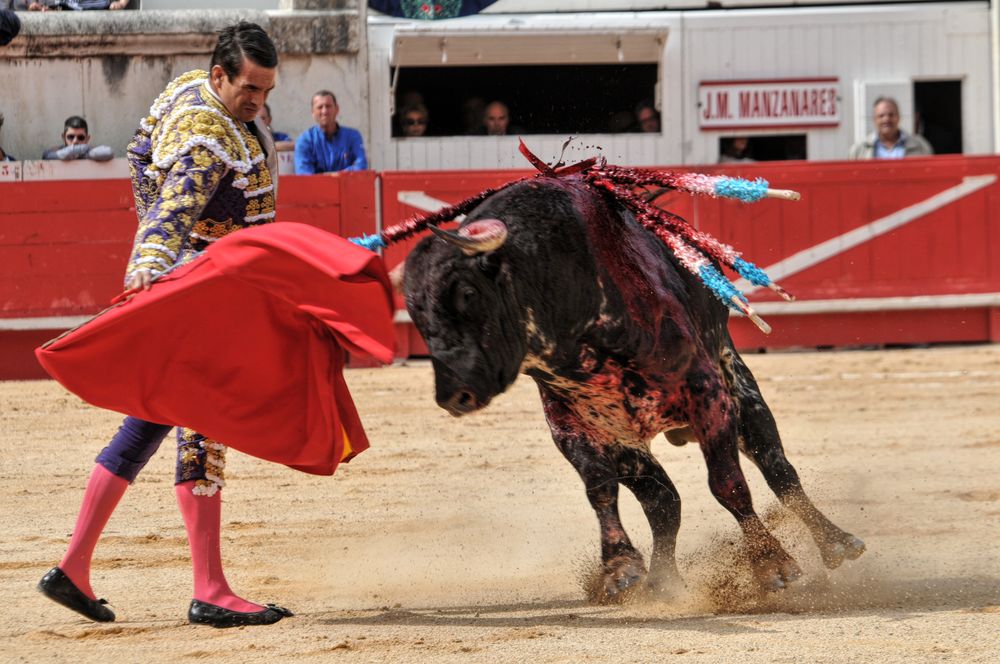 2016cordimmvendnimes (390)