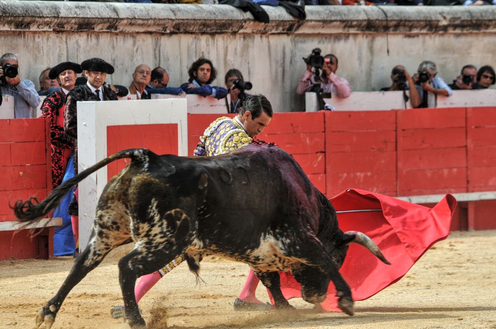 2016cordimmvendnimes (392)