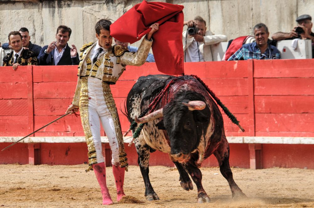 2016cordimmvendnimes (40)