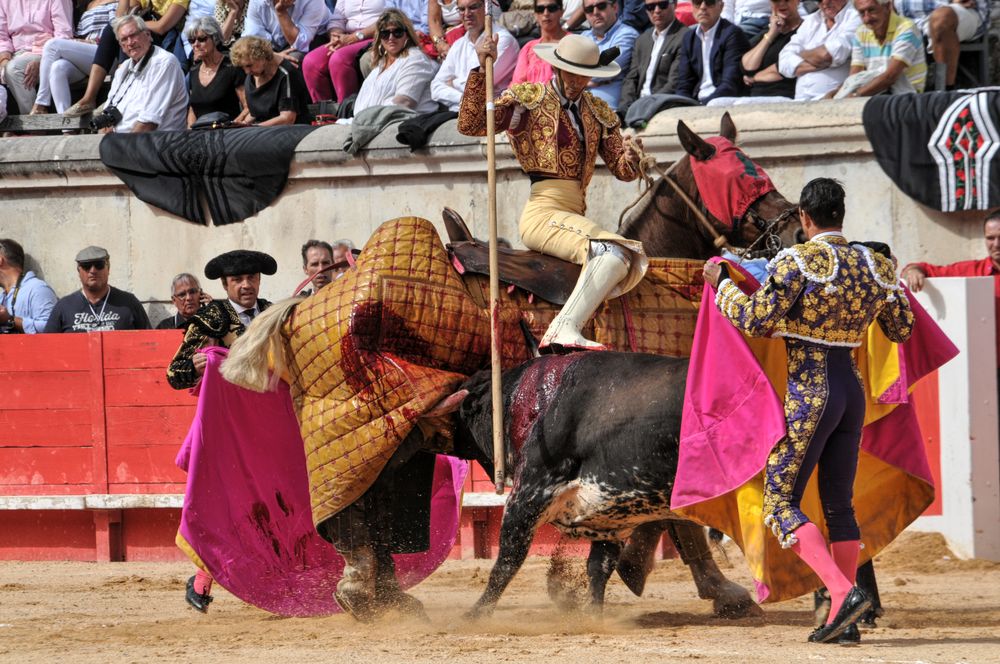 2016cordimmvendnimes (403)