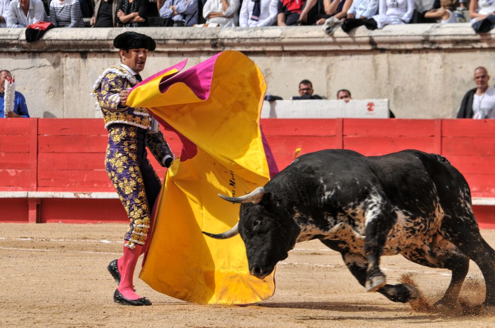 2016cordimmvendnimes (406)