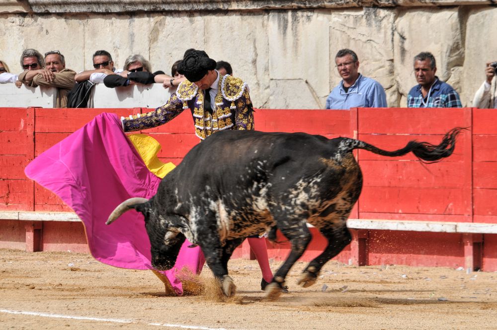 2016cordimmvendnimes (407)