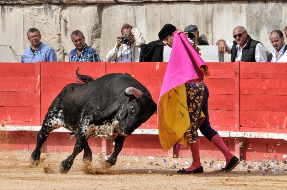 2016cordimmvendnimes (408)