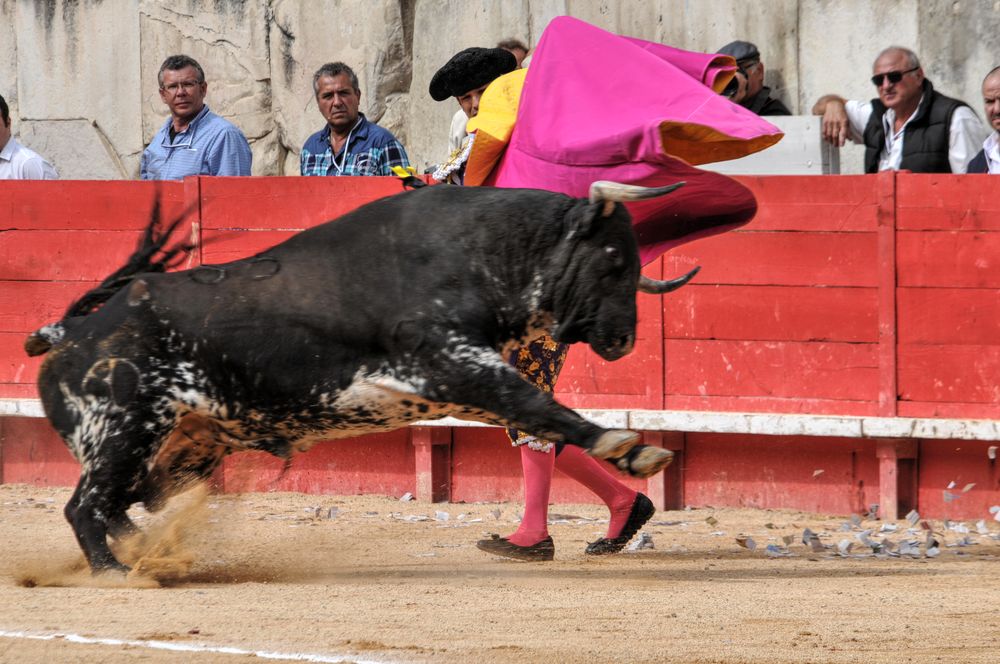 2016cordimmvendnimes (410)