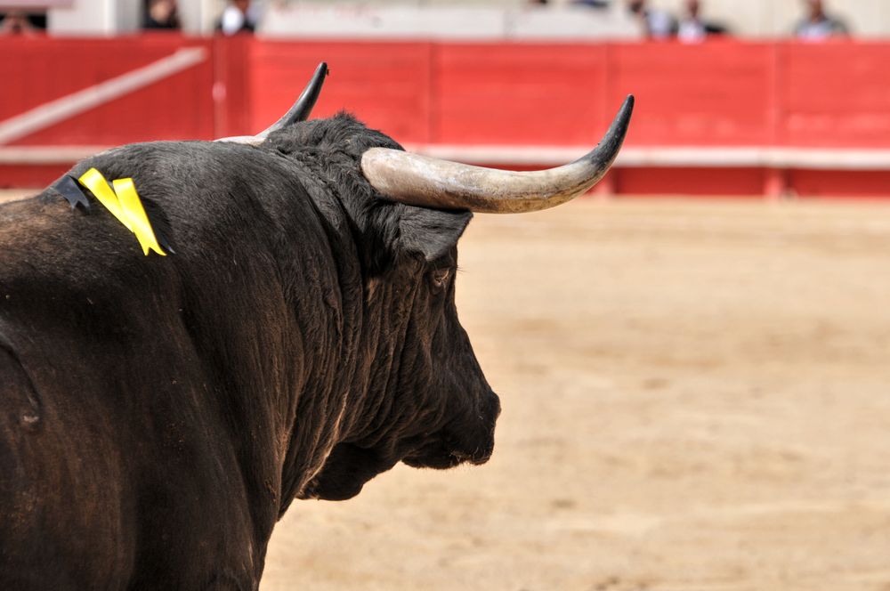 2016cordimmvendnimes (413)