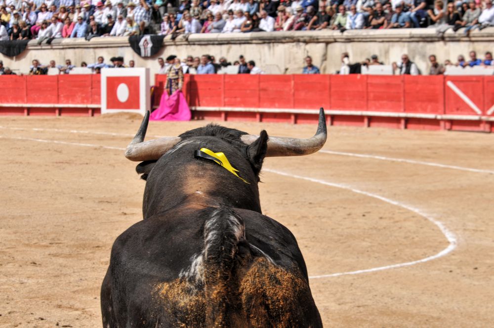 2016cordimmvendnimes (414)