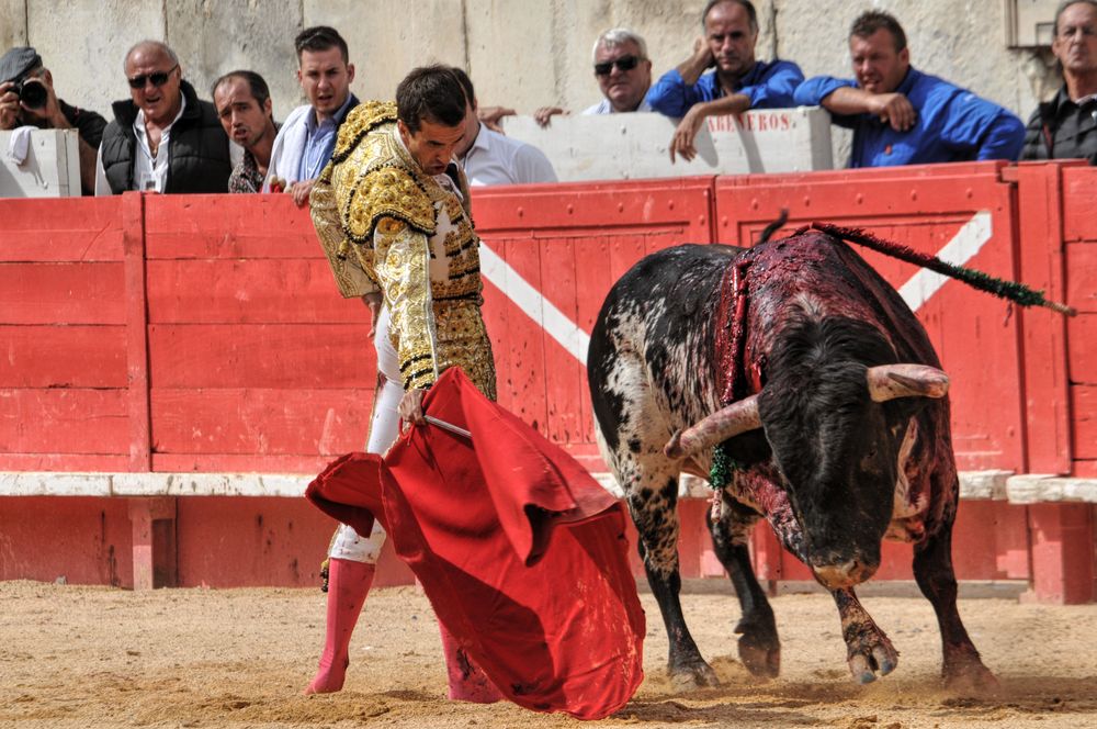 2016cordimmvendnimes (42)