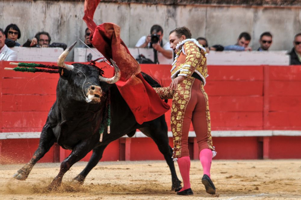 2016cordimmvendnimes (423)