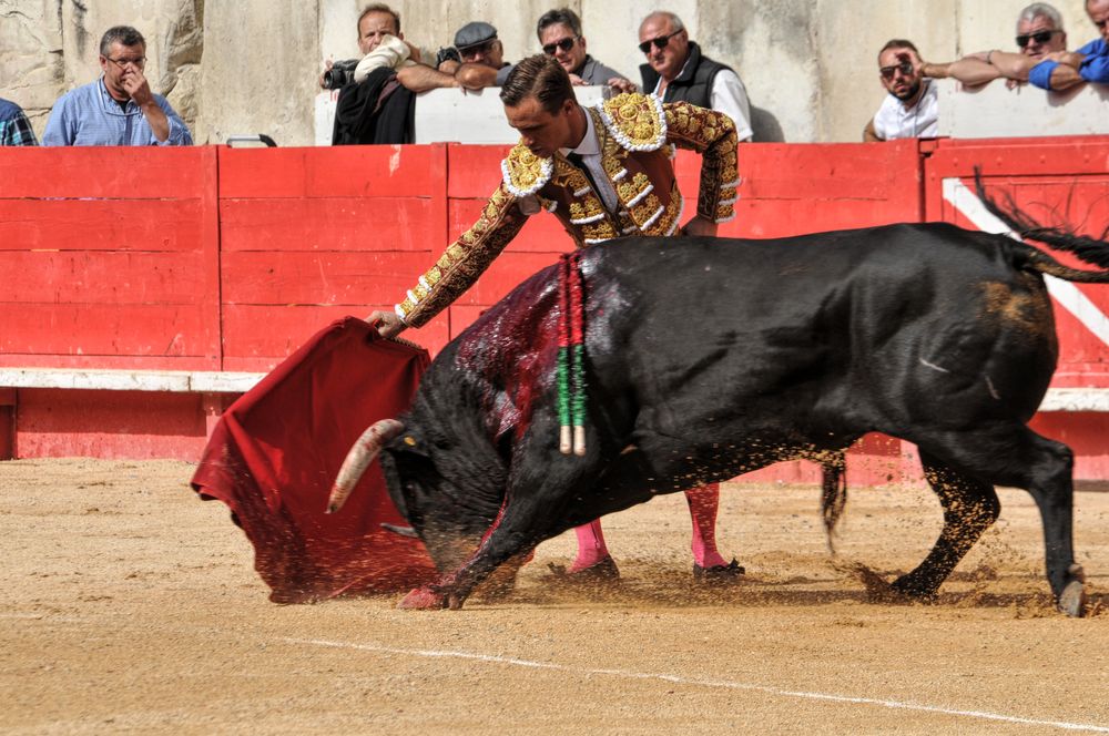 2016cordimmvendnimes (434)