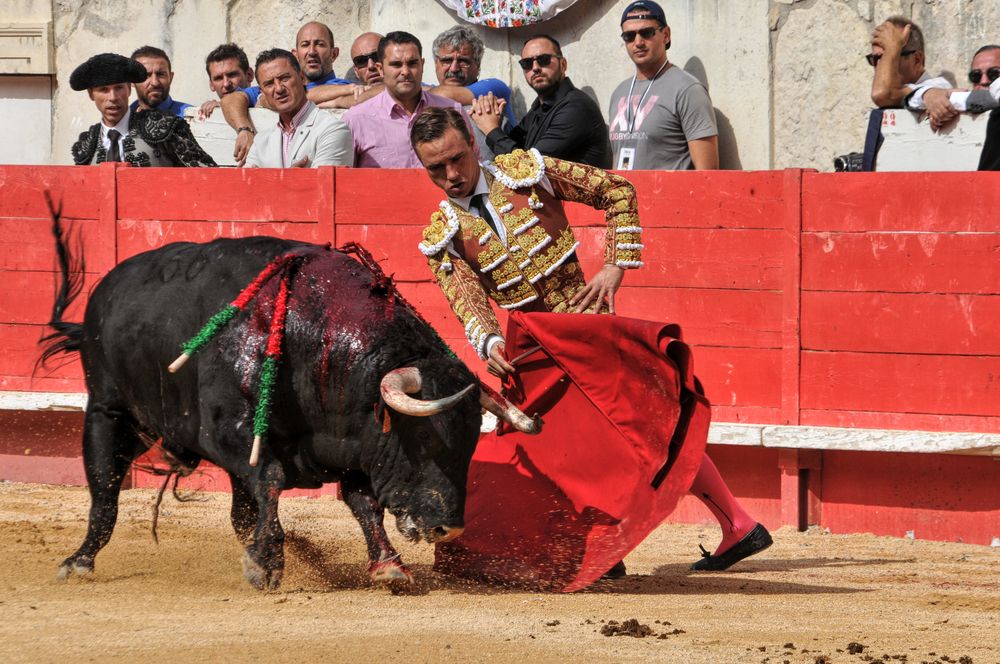 2016cordimmvendnimes (435)