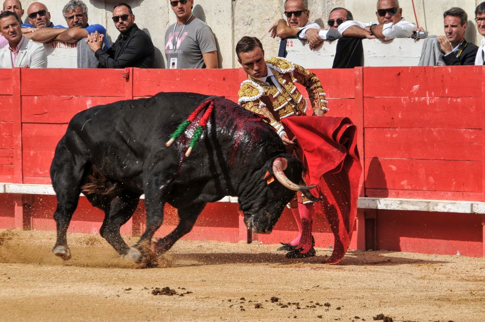 2016cordimmvendnimes (436)
