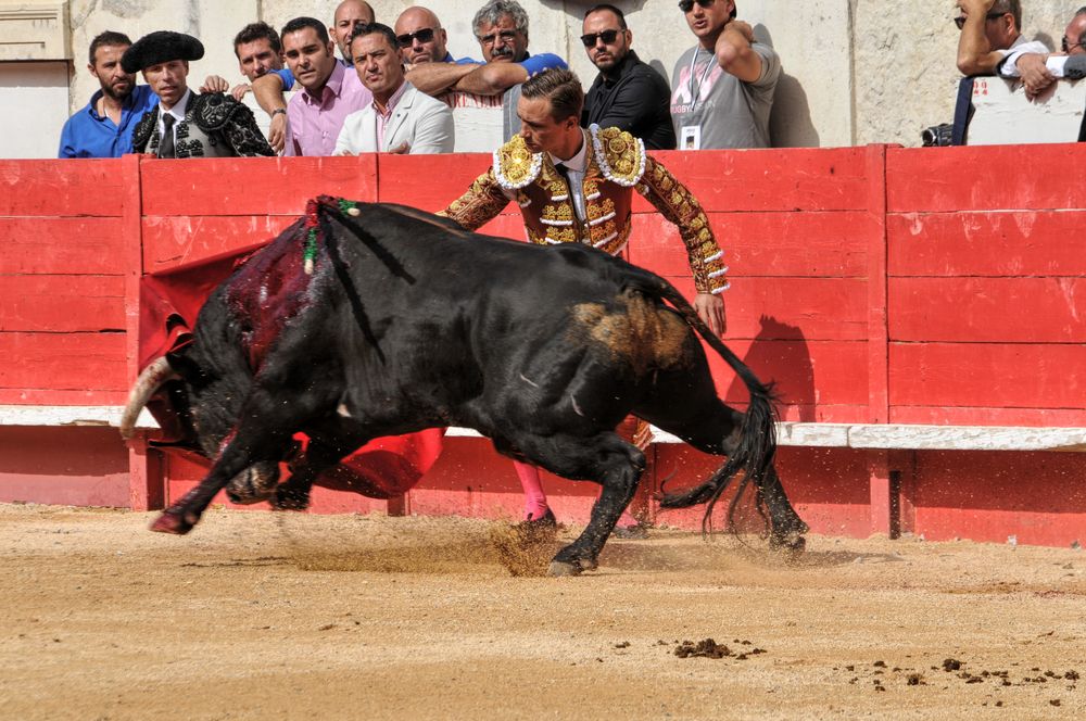 2016cordimmvendnimes (437)