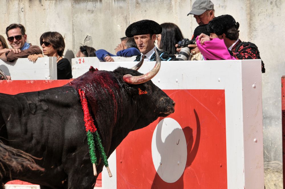 2016cordimmvendnimes (438)