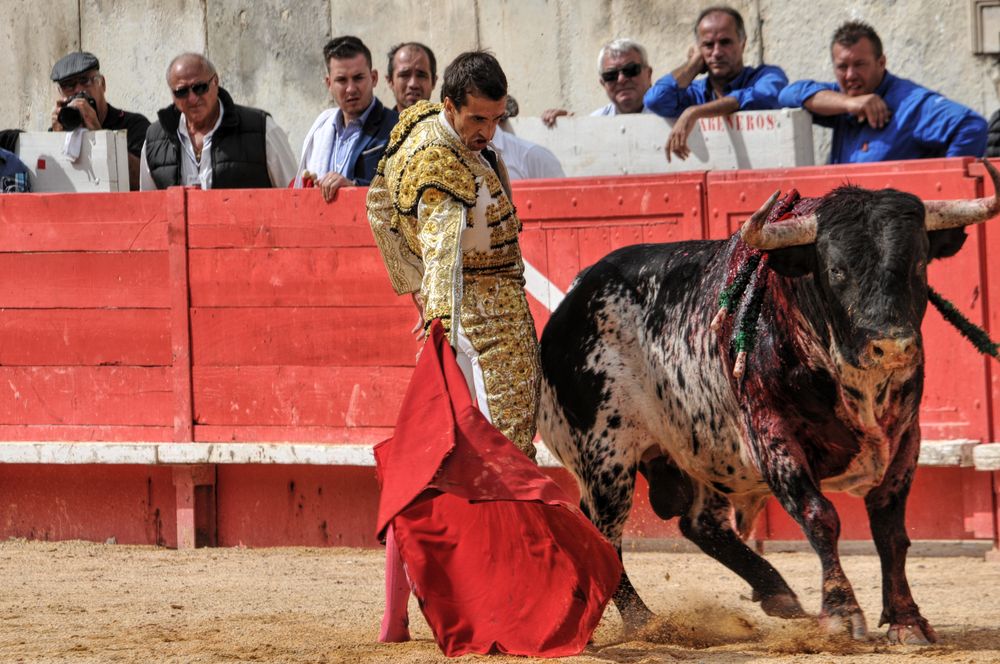 2016cordimmvendnimes (44)