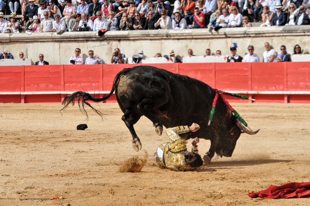 2016cordimmvendnimes (440)