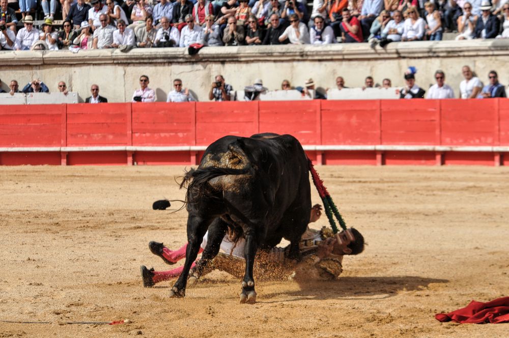 2016cordimmvendnimes (441)