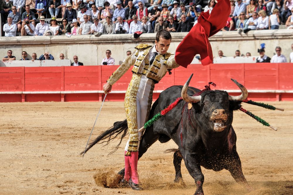 2016cordimmvendnimes (444)