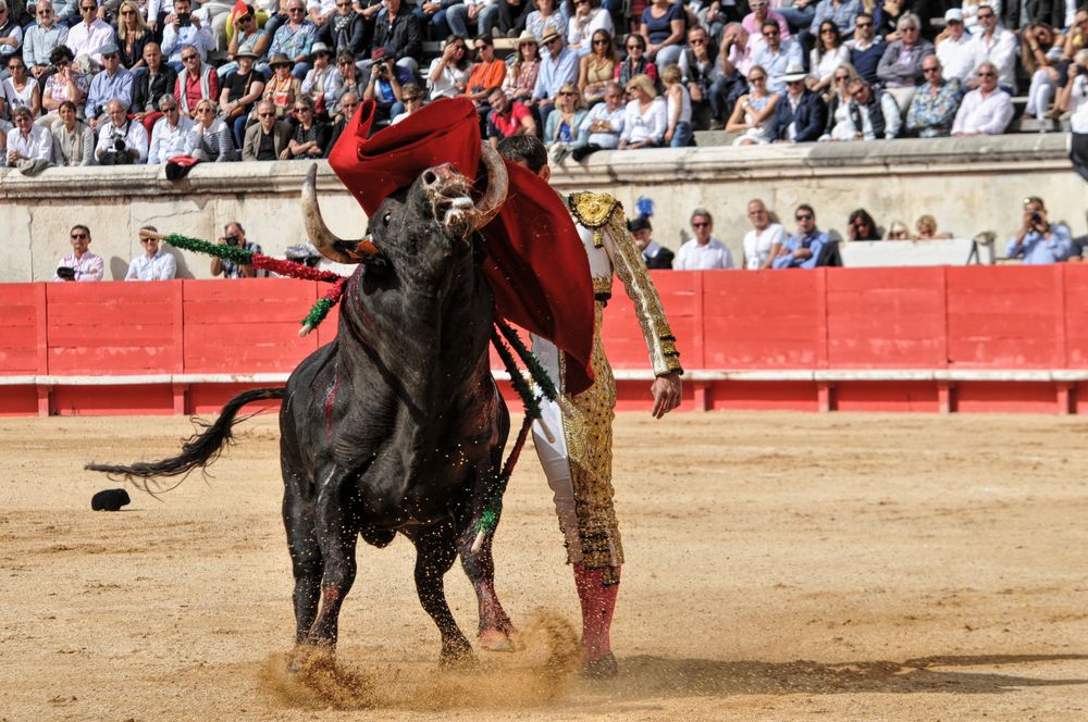 2016cordimmvendnimes (446)
