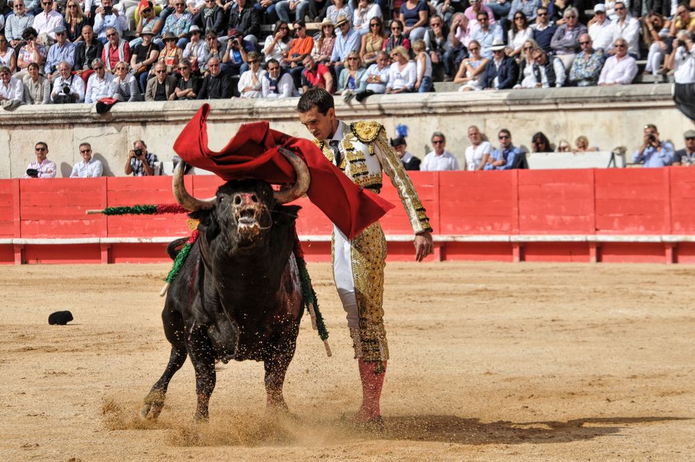 2016cordimmvendnimes (447)