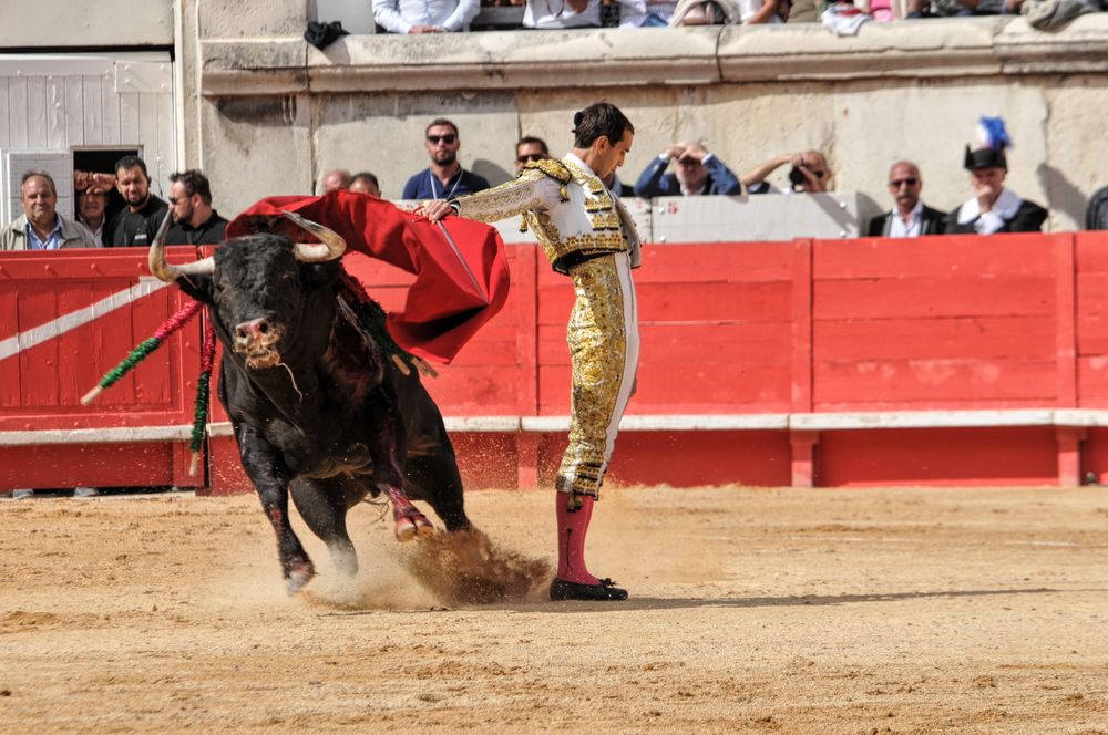 2016cordimmvendnimes (454)