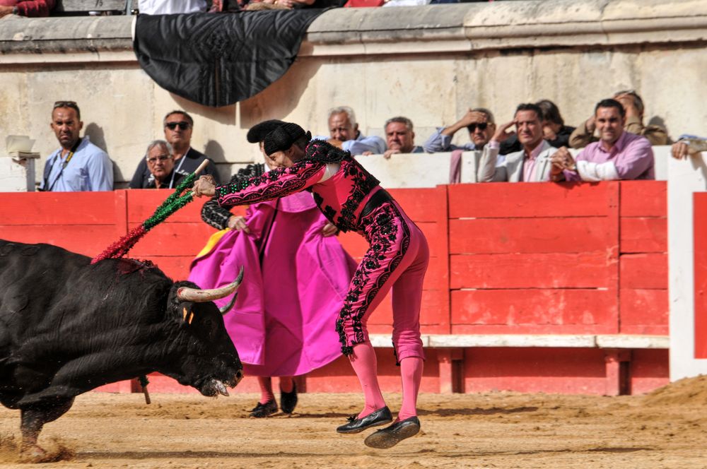 2016cordimmvendnimes (460)