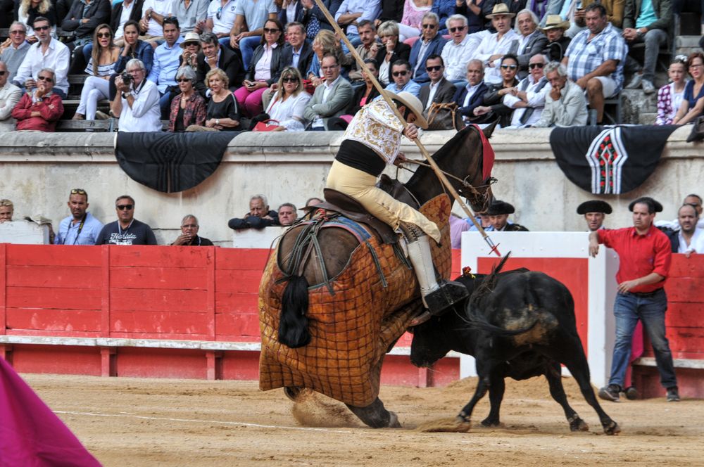 2016cordimmvendnimes (462)