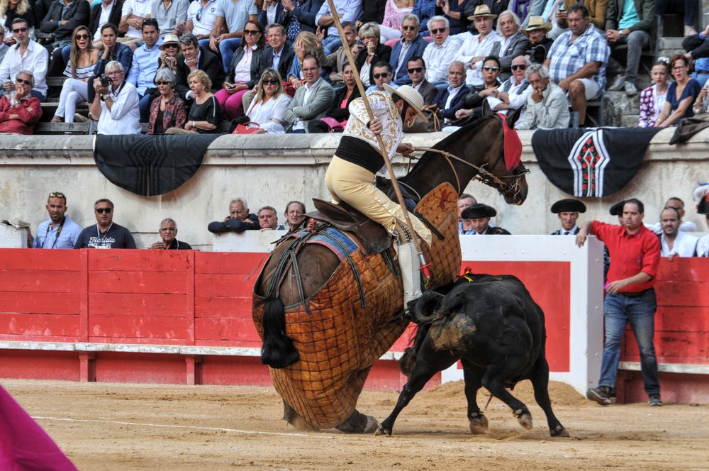 2016cordimmvendnimes (463)