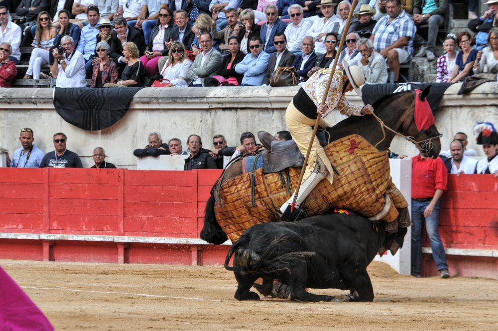 2016cordimmvendnimes (464)