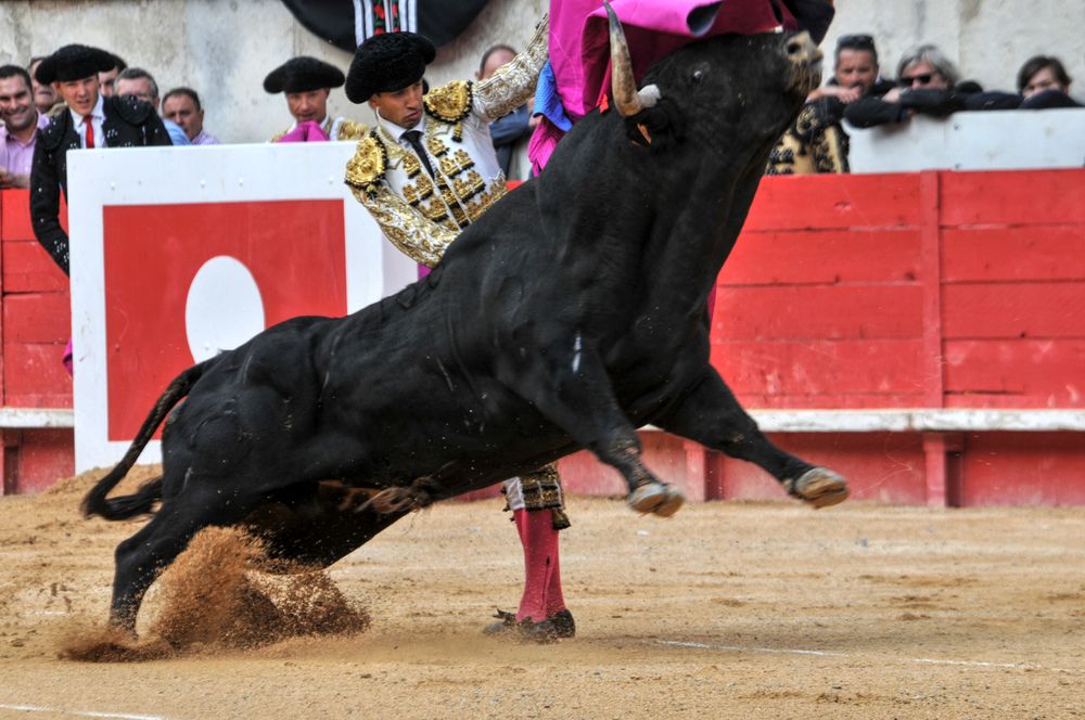 2016cordimmvendnimes (467)