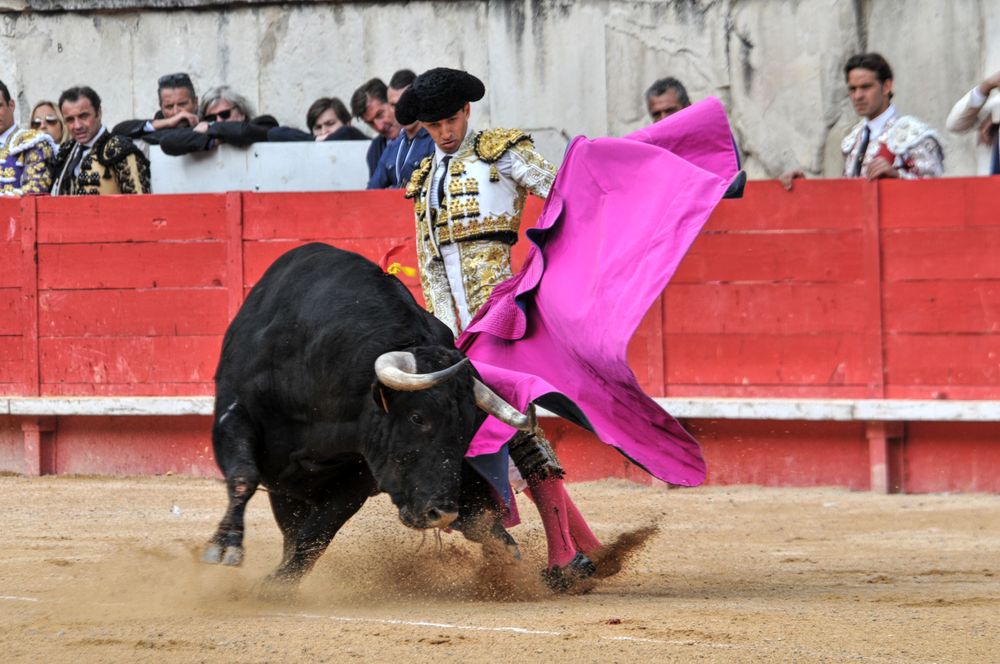 2016cordimmvendnimes (469)