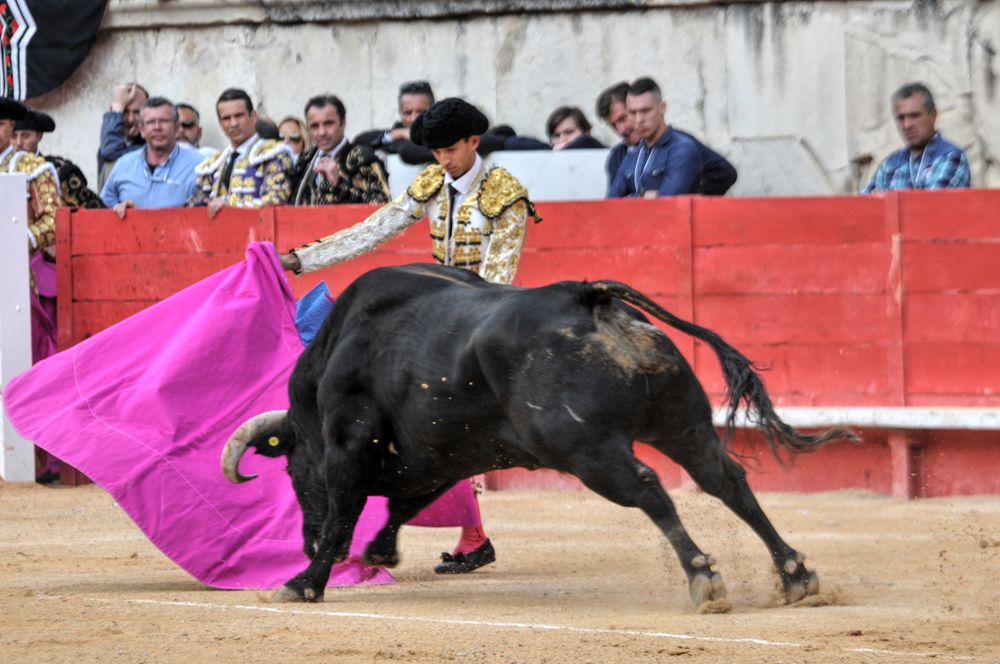 2016cordimmvendnimes (471)