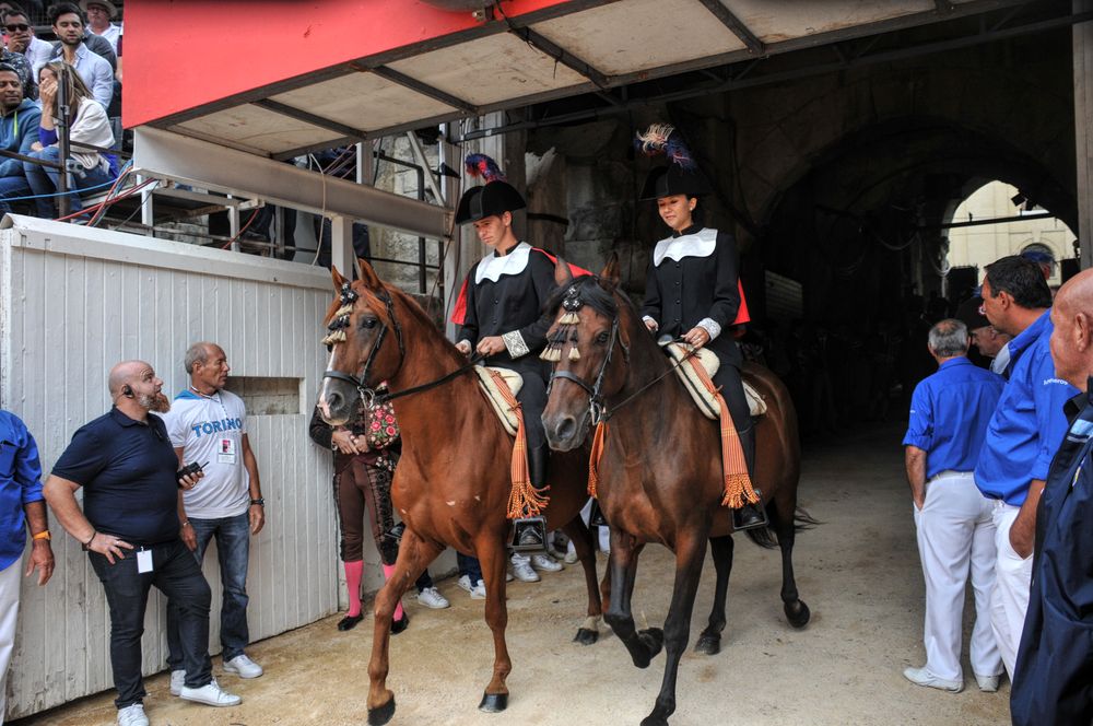 2016cordimmvendnimes (489)