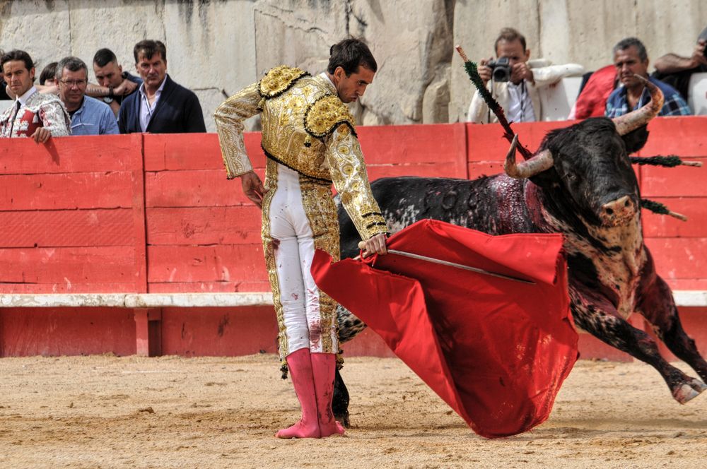 2016cordimmvendnimes (51)